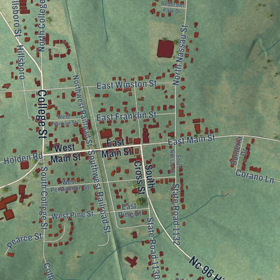 Close-up of the map of Youngsville, North Carolina print showing street and building detail