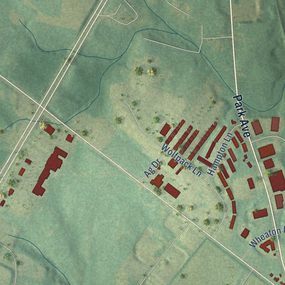 Second close-up of the map of Youngsville, North Carolina print showing more streets and buildings