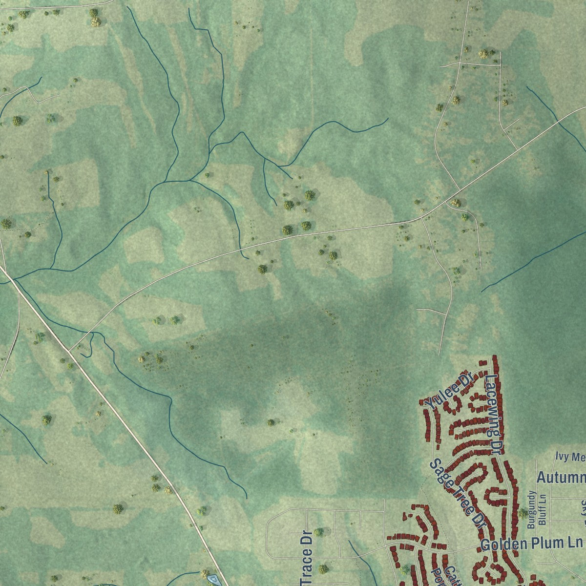Second close-up of the map of Zebulon, North Carolina print showing more streets and buildings