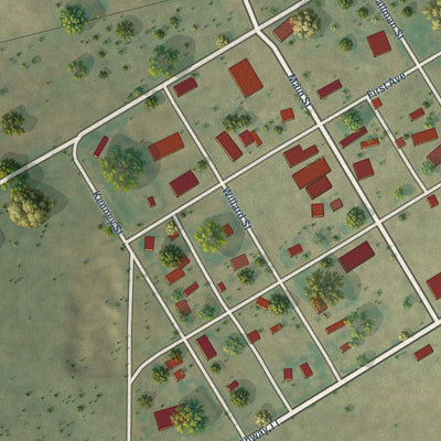 Close-up of the map of Alamo, North Dakota print showing street and building detail