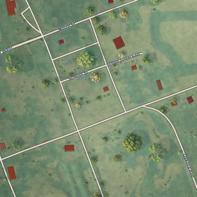 Close-up of the map of Brinsmade, North Dakota print showing street and building detail