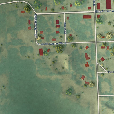 Close-up of the map of Cayuga, North Dakota print showing street and building detail