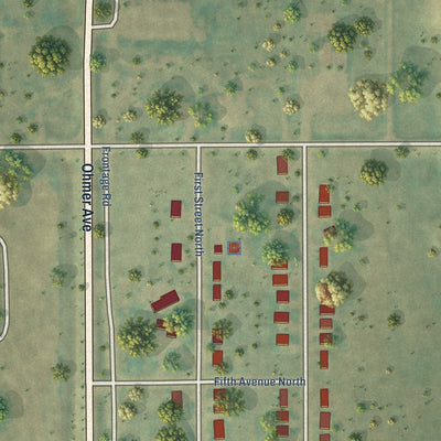 Second close-up of the map of Dunseith, North Dakota print showing more streets and buildings