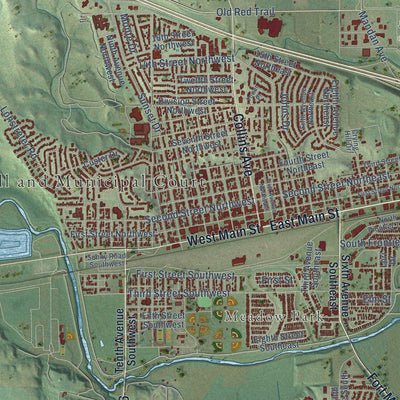 Close-up of the map of Mandan, North Dakota print showing street and building detail