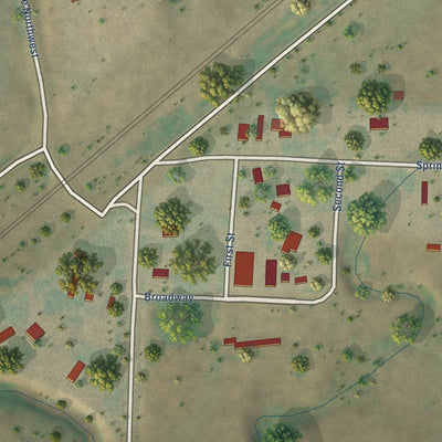 Close-up of the map of Springbrook, North Dakota print showing street and building detail