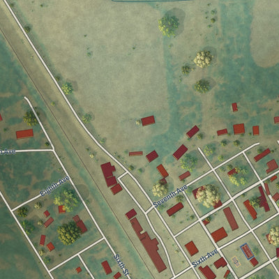 Close-up of the map of Walcott, North Dakota print showing street and building detail