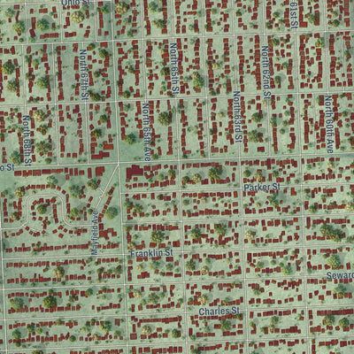 Close-up of the map of Benson, Nebraska print showing street and building detail