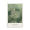 Map of Bushnell, Nebraska, 12 x 18 inch unframed archival matte print
