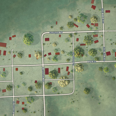 Close-up of the map of Crab Orchard, Nebraska print showing street and building detail