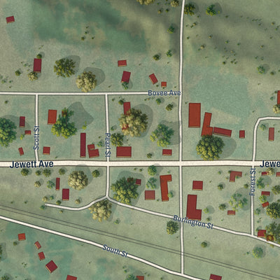 Close-up of the map of Halsey, Nebraska print showing street and building detail
