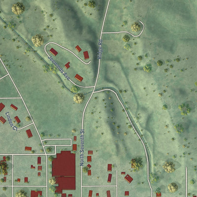 Second close-up of the map of Loup City, Nebraska print showing more streets and buildings