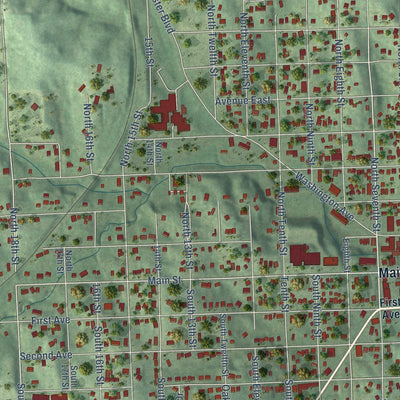 Close-up of the map of Plattsmouth, Nebraska print showing street and building detail