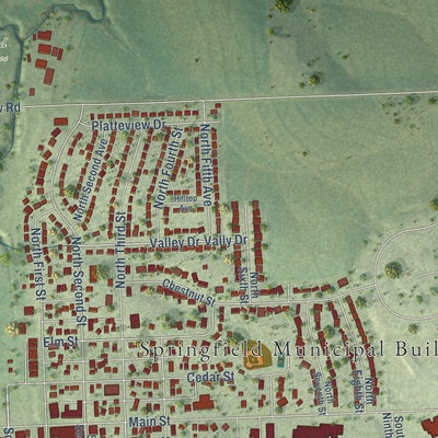 Close-up of the map of Springfield, Nebraska print showing street and building detail