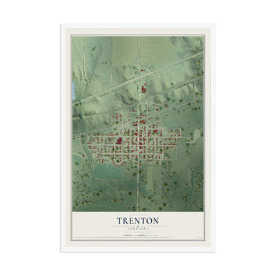 Map of Trenton, Nebraska, 12 x 18 inch print in a white wood frame