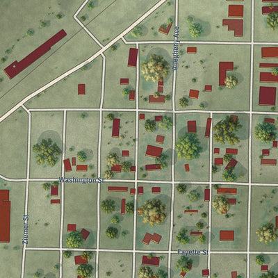 Close-up of the map of Venango, Nebraska print showing street and building detail