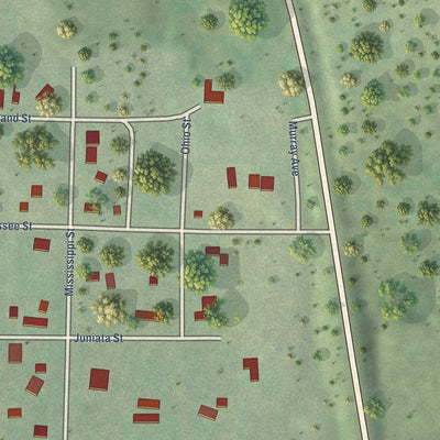 Close-up of the map of Wellfleet, Nebraska print showing street and building detail
