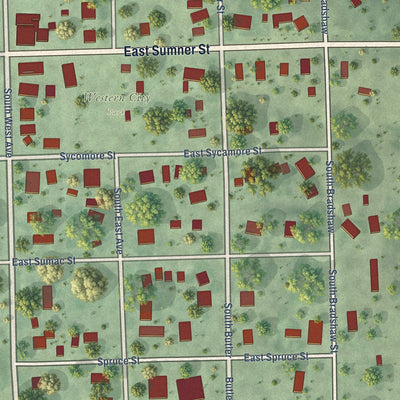 Close-up of the map of Western, Nebraska print showing street and building detail