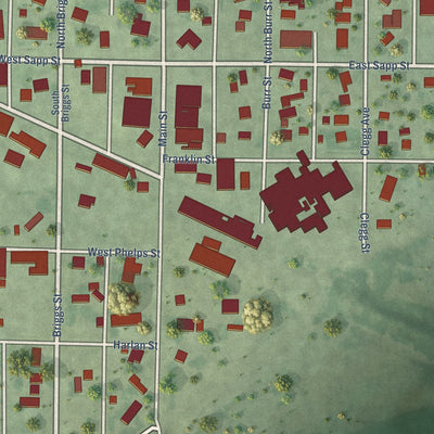 Close-up of the map of Wilcox, Nebraska print showing street and building detail