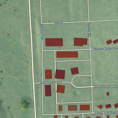 Second close-up of the map of Winnebago, Nebraska print showing more streets and buildings