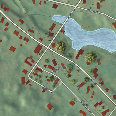 Close-up of the map of Union, New Hampshire print showing street and building detail