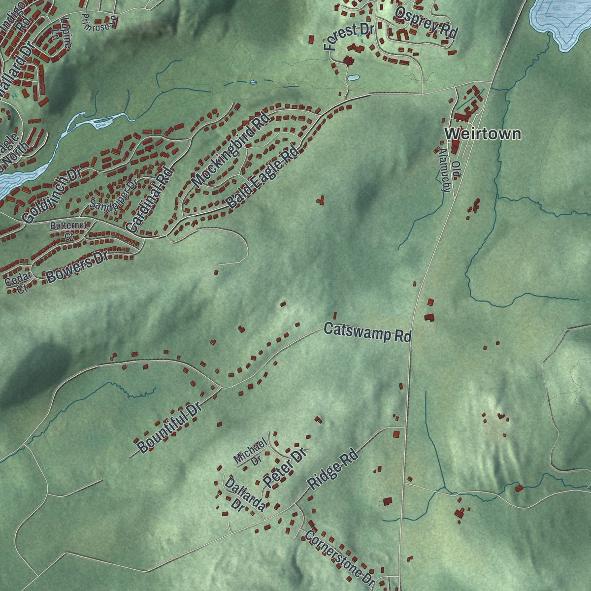 Close-up 1 of the Allamuchy, New Jersey map artwork