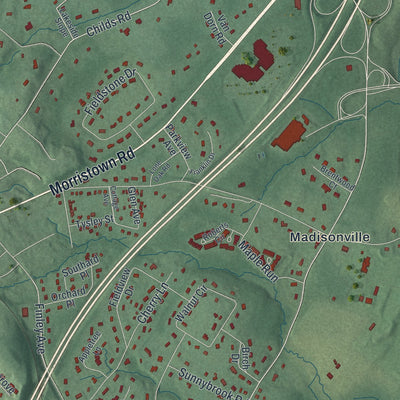 Close-up 2 of the Basking Ridge, New Jersey map artwork