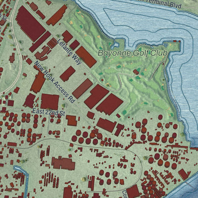 Close-up 2 of the Bayonne, New Jersey map artwork