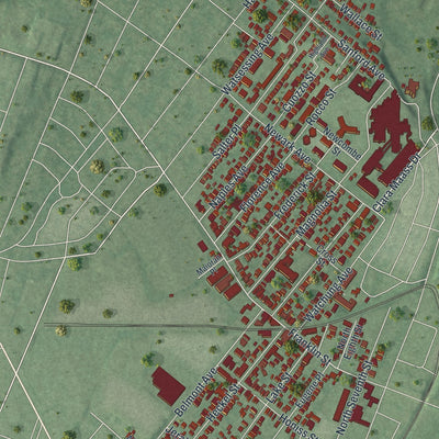 Close-up 2 of the Belleville, New Jersey map artwork