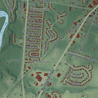 Close-up 2 of the Bordentown, New Jersey map artwork