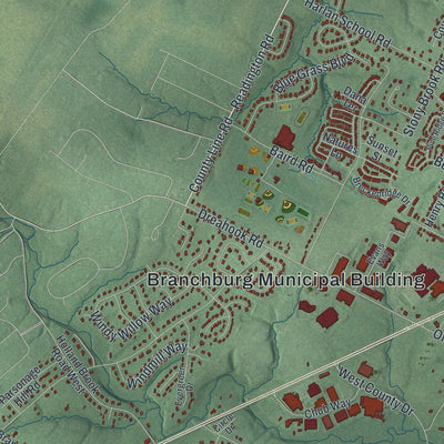 Close-up 2 of the Branchburg, New Jersey map artwork