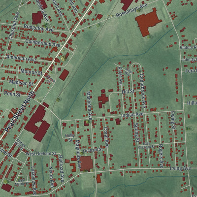 Close-up 2 of the Bridgeton, New Jersey map artwork