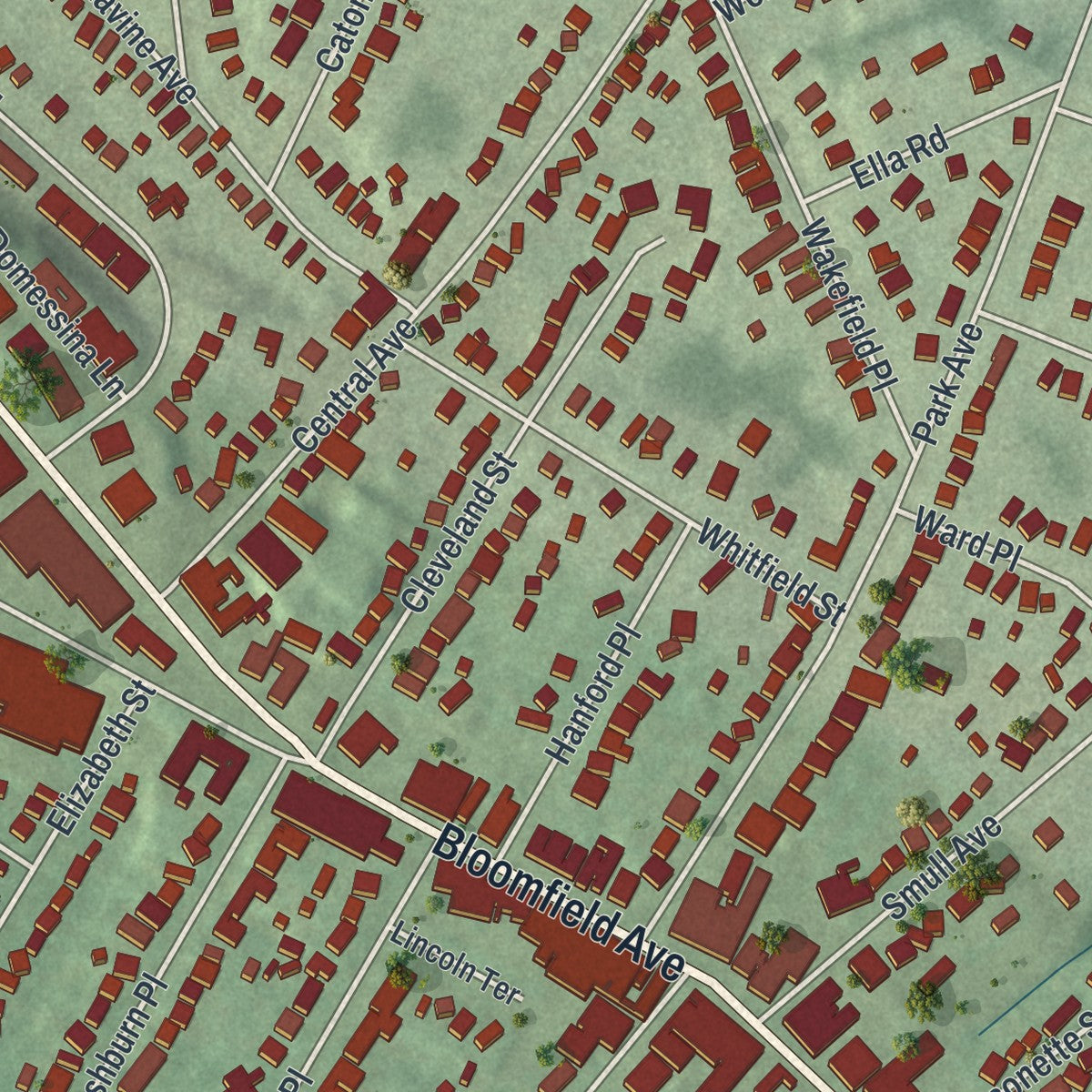 Close-up 1 of the Caldwell, New Jersey map artwork