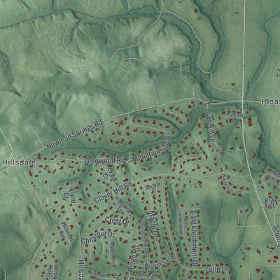 Close-up 2 of the Colts Neck, New Jersey map artwork