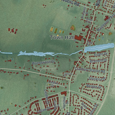 Close-up 1 of the Cranbury, New Jersey map artwork