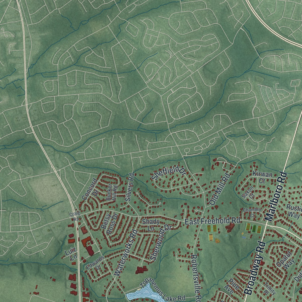 Close-up 2 of the Freehold, New Jersey map artwork