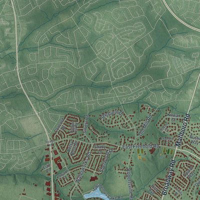 Close-up 2 of the Freehold, New Jersey map artwork