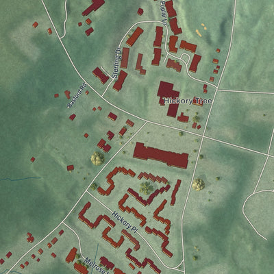 Close-up of the map of Green Village, New Jersey print showing street and building detail