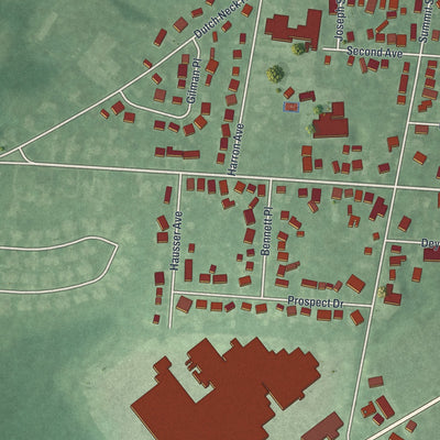 Close-up 2 of the Hightstown, New Jersey map artwork