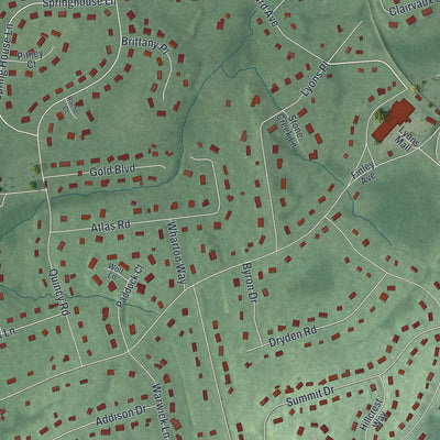 Close-up of the map of Lyons, New Jersey print showing street and building detail