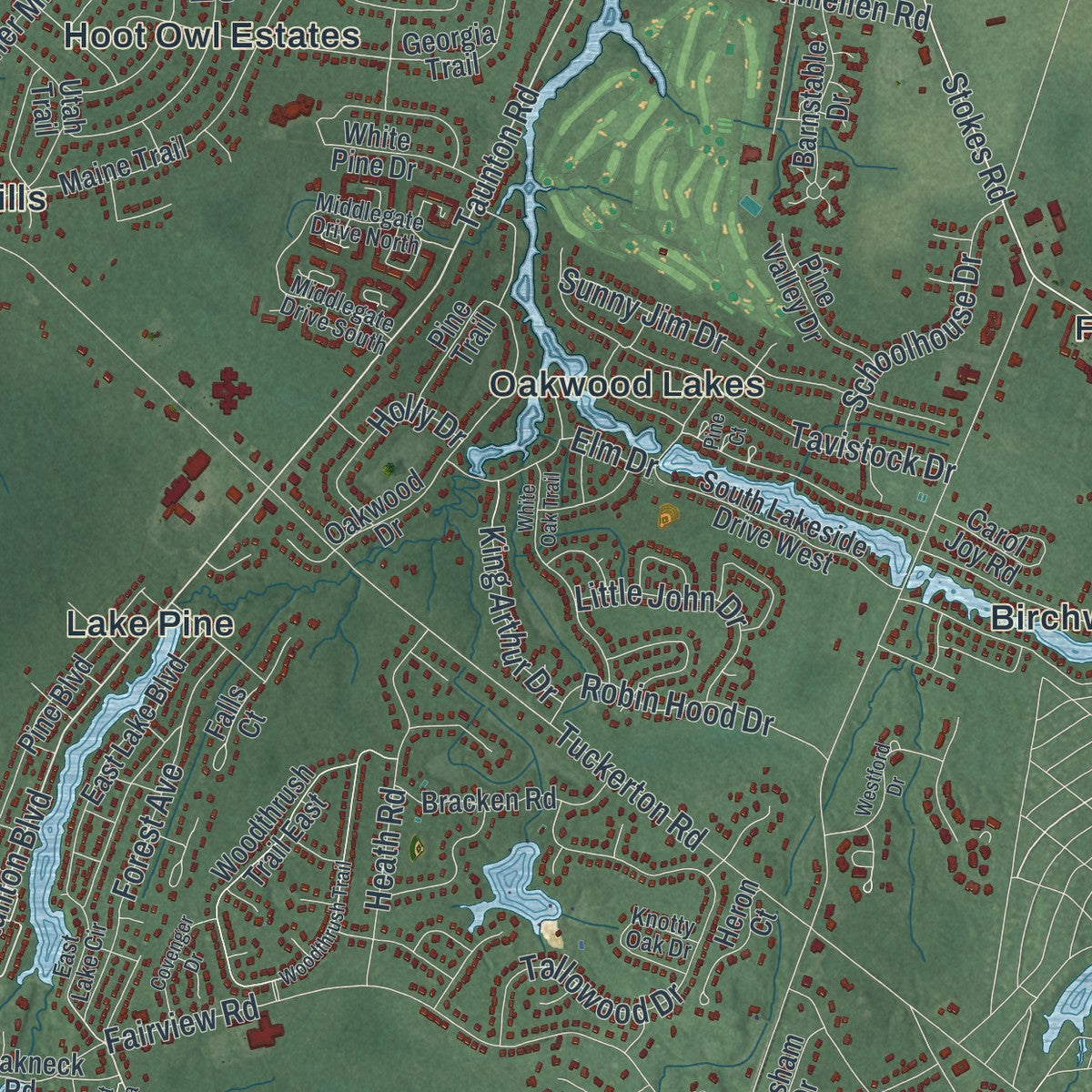 Close-up 1 of the Medford, New Jersey map artwork