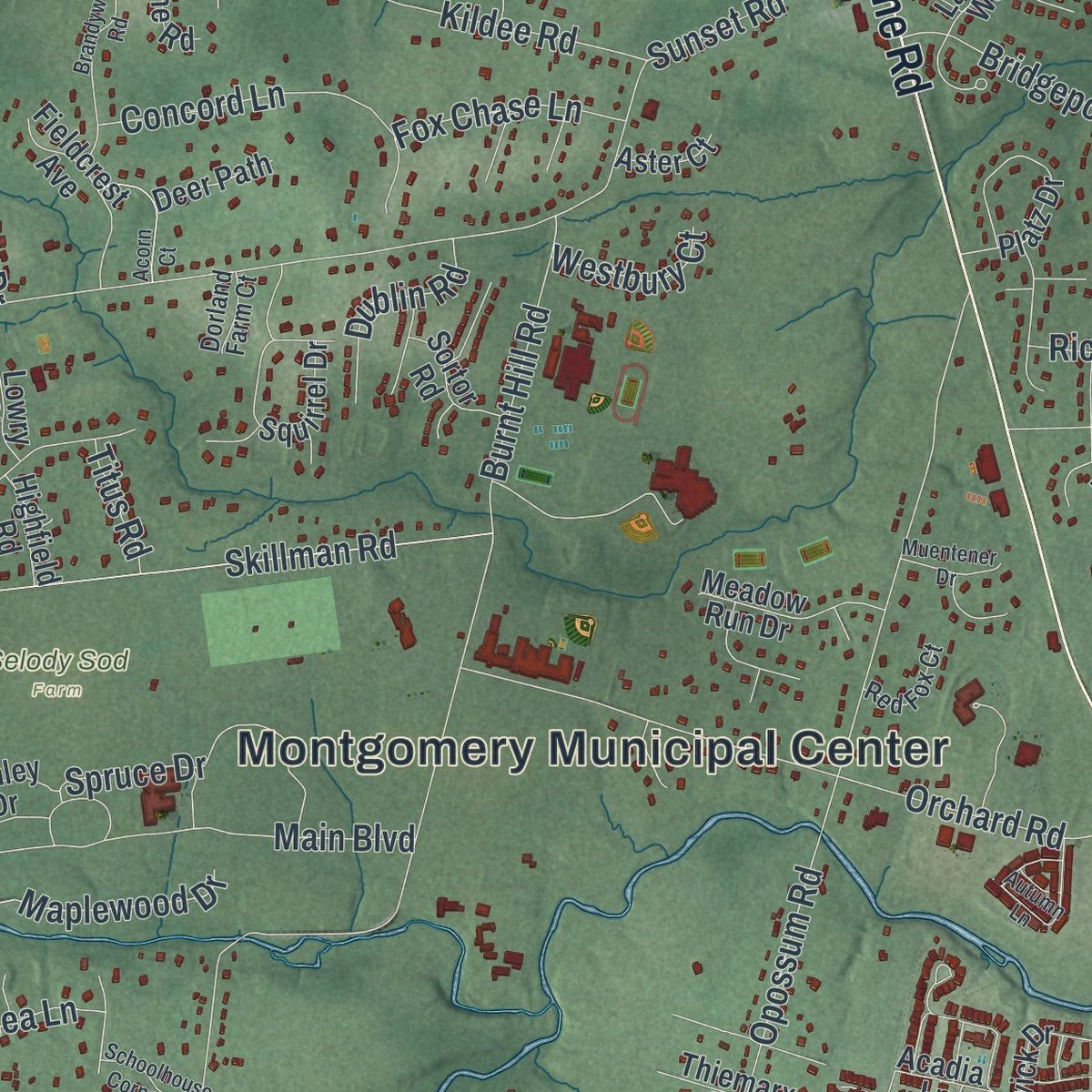 Close-up 2 of the Montgomery, New Jersey map artwork