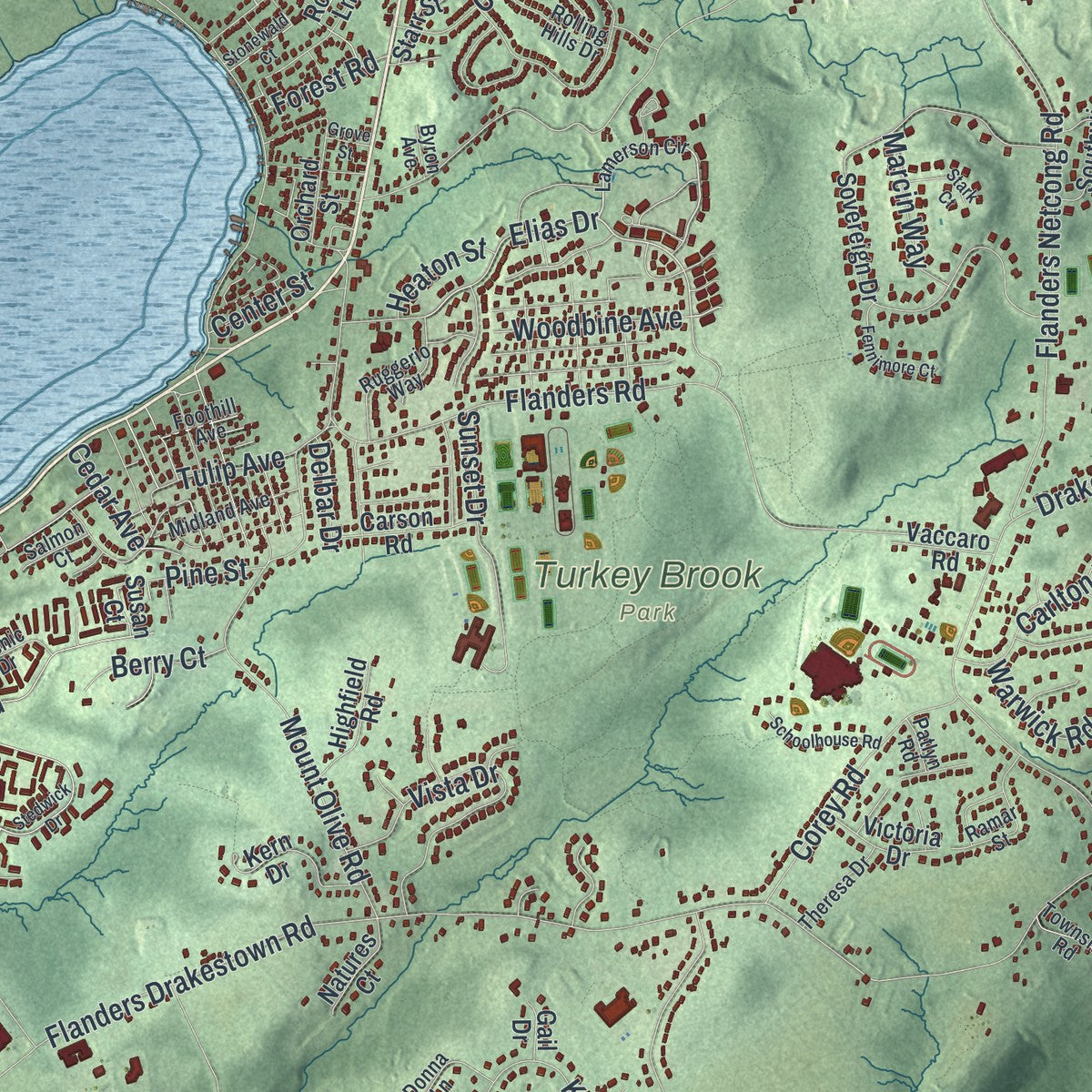 Close-up 1 of the Mount Olive, New Jersey map artwork