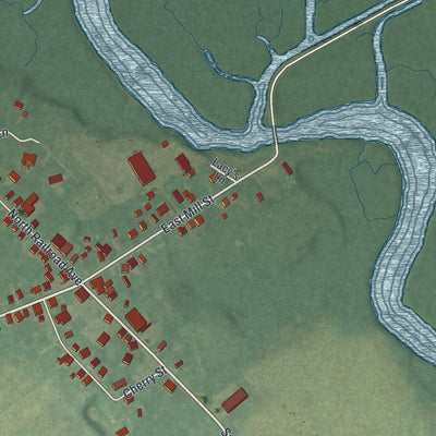 Close-up of the map of Pedricktown, New Jersey print showing street and building detail