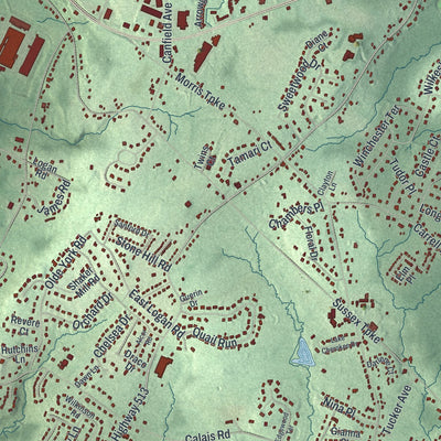 Close-up 1 of the Randolph, New Jersey map artwork
