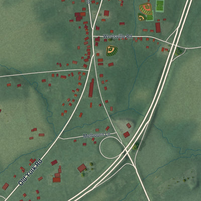 Close-up of the map of Ringoes, New Jersey print showing street and building detail
