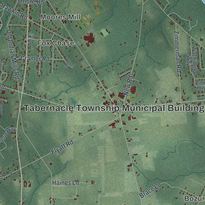Close-up 1 of the Tabernacle, New Jersey map artwork
