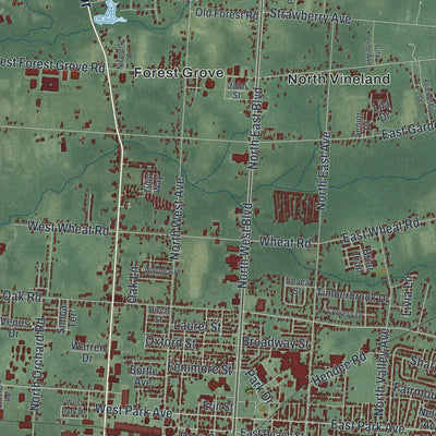 Close-up 2 of the Vineland, New Jersey map artwork
