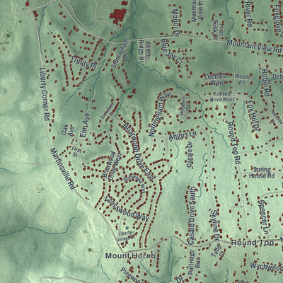 Close-up 2 of the Warren, New Jersey map artwork