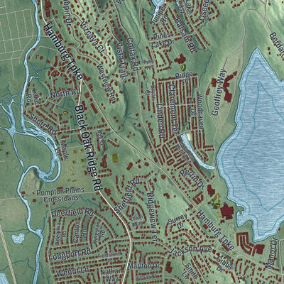 Close-up 2 of the Wayne, New Jersey map artwork