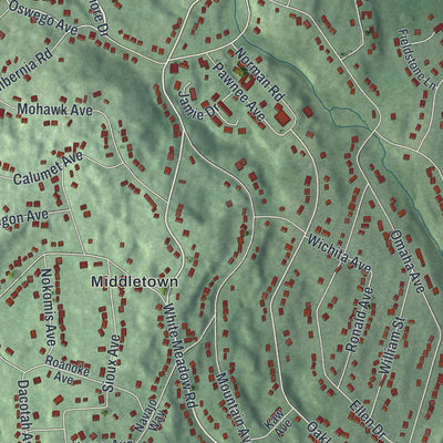 Close-up of the map of White Meadow Lake, New Jersey print showing street and building detail